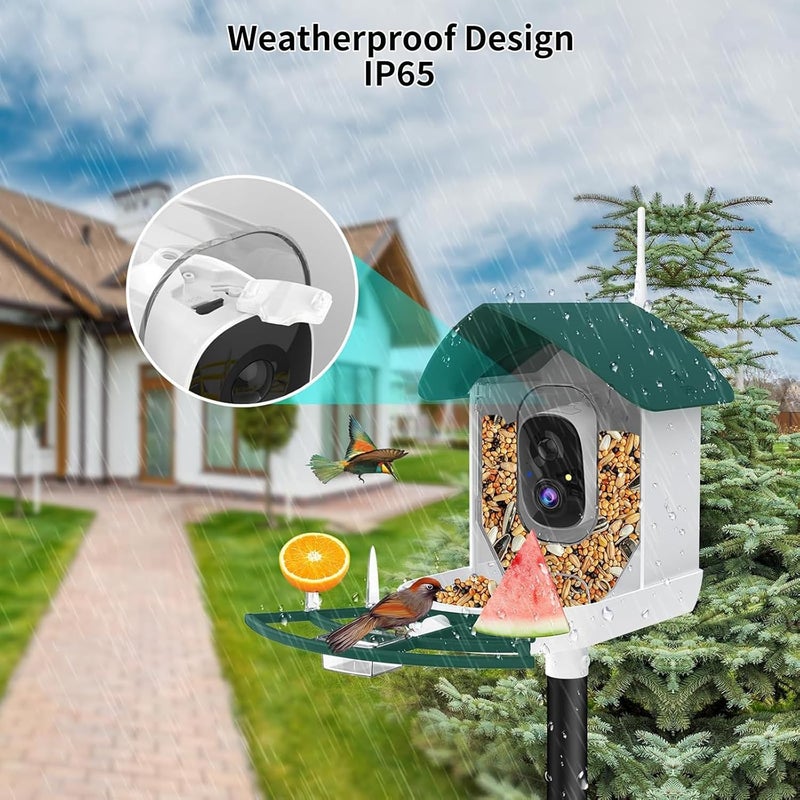 Fazoxo Bird Feeder with Camera,AI Identify Birds Species,Smart Birds Camera with Solar Powered,Auto Record FHD Feather Visitor Video in Backyard,Patio,Instant Notifications,Ideal Gifts for Bird Lovers - Image 4